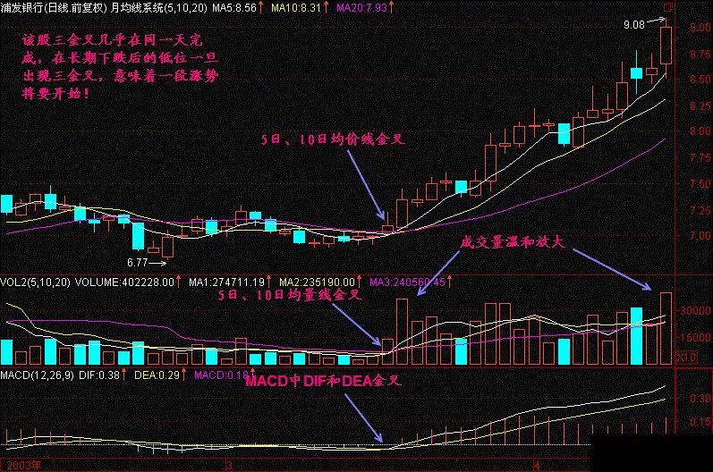 一位游资大佬说破股市MACD精华就是三金叉见底三死叉见顶