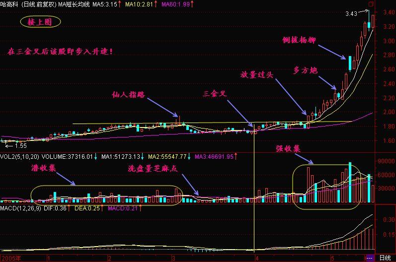 一位游资大佬说破股市MACD精华就是三金叉见底三死叉见顶