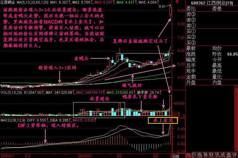 一位游资大佬说破股市MACD精华就是三金叉见底三死叉见顶