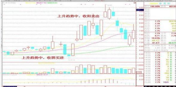 一个赌博的故事告诉你反复牢记七七口诀看懂少奋斗10年