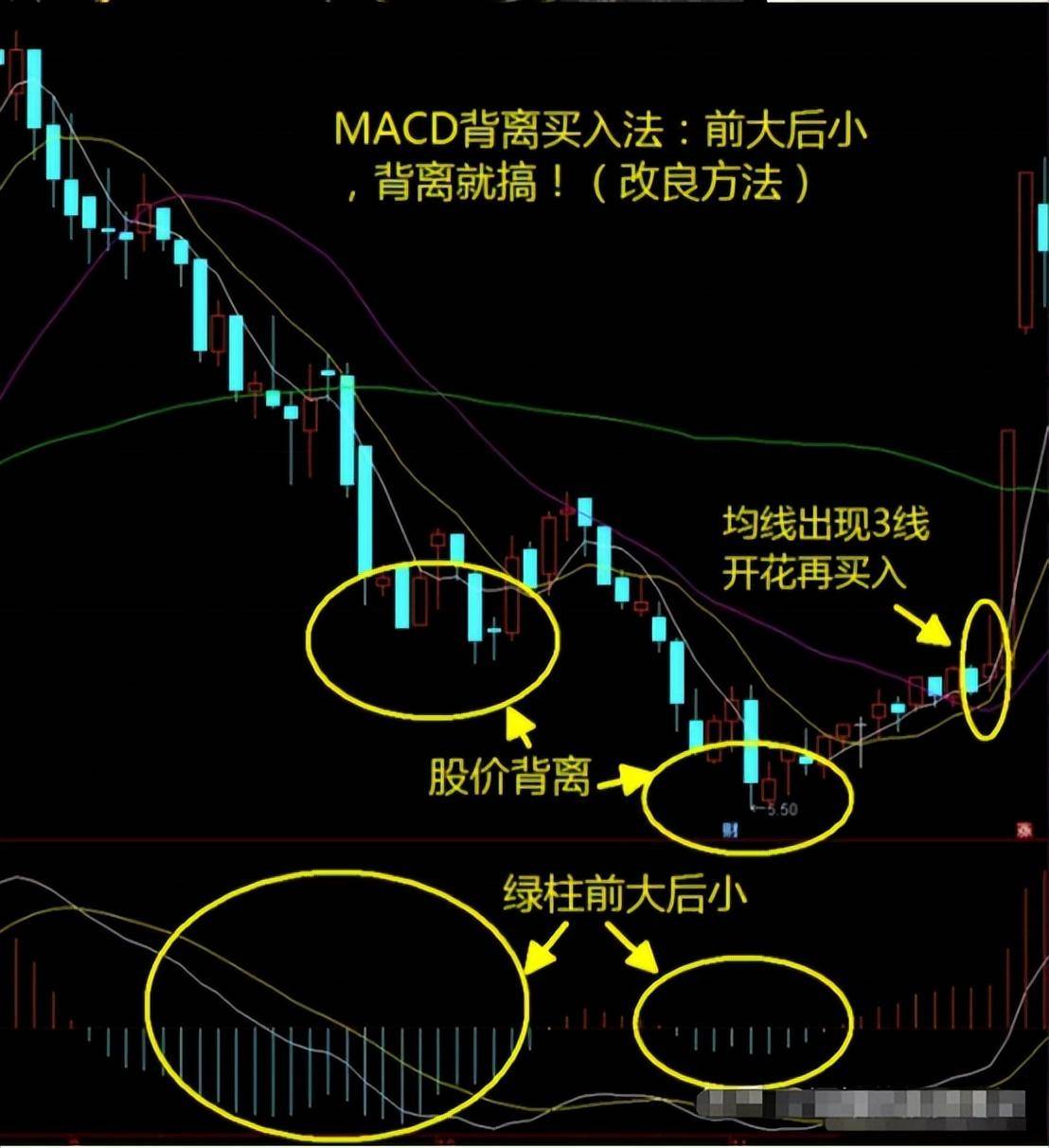 老股民自述散户如果通过股票实现财富自由需要跨过多少个关卡