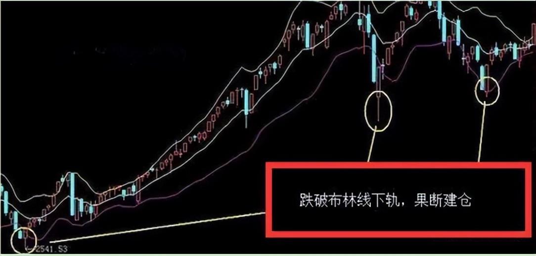 一夜持股法尾盘选股准确掌握买卖点能做到财富自由离你不远了