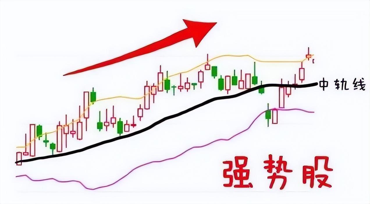炒股的最高境界是什么？十六年老股民首次分享值得散户反复阅读
