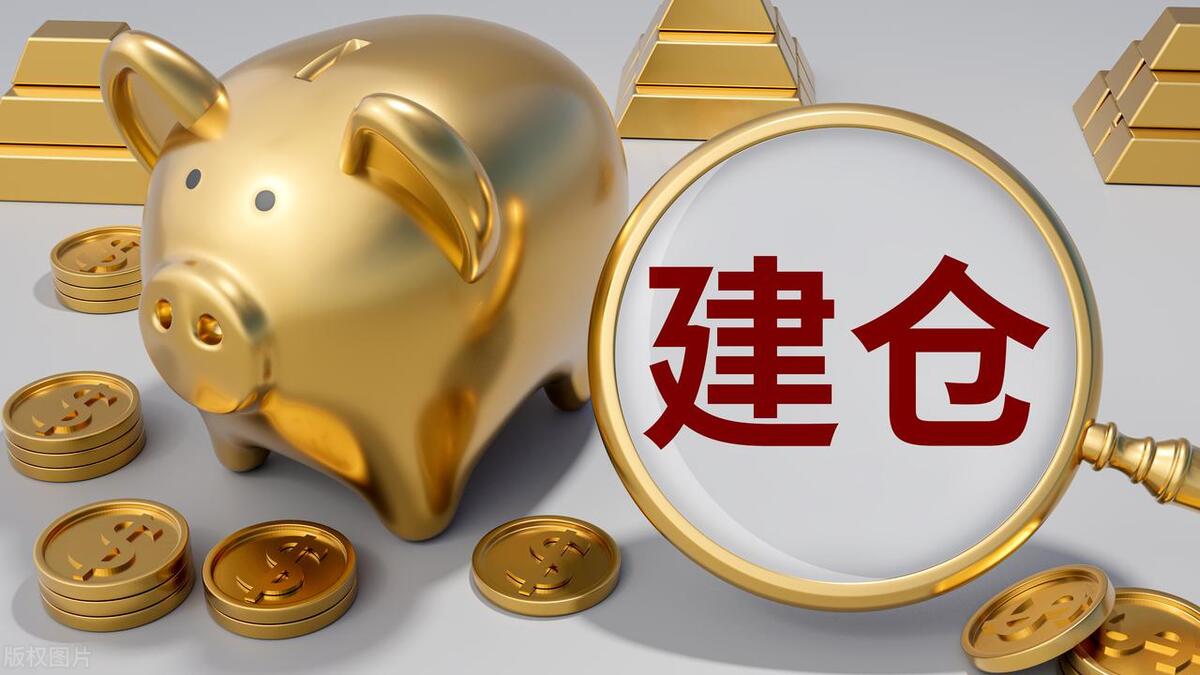 目睹庄家操作一只股票的全过程让我重新认识股票的本质上篇