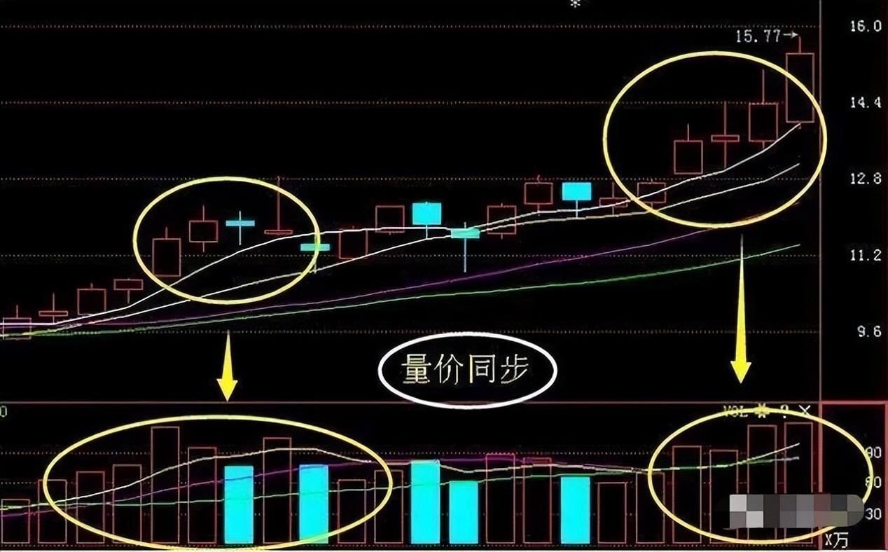 被套到财富自由只因领悟量价背离量价同步掌握稳赚不亏