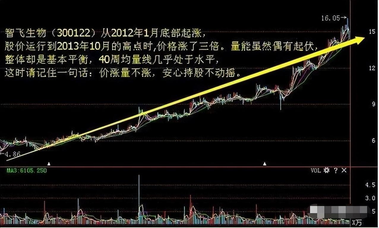 被套到财富自由只因领悟量价背离量价同步掌握稳赚不亏