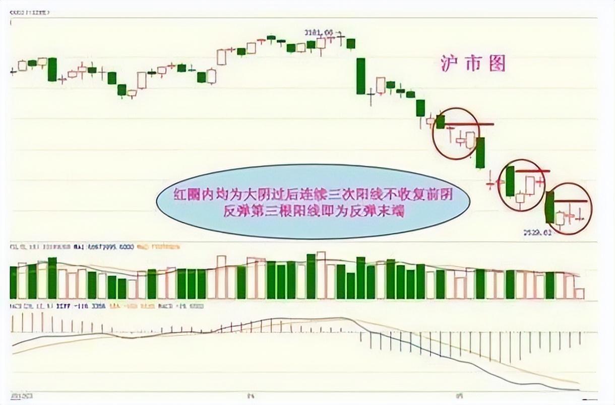 中国股市炒股高手的几大秘诀看懂后你也能龙游大海凤舞天翔