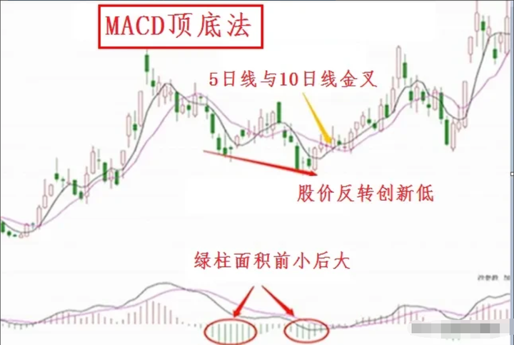 中国股市散户亏损的八大原因看完此文改掉后你炒股将轻而易举