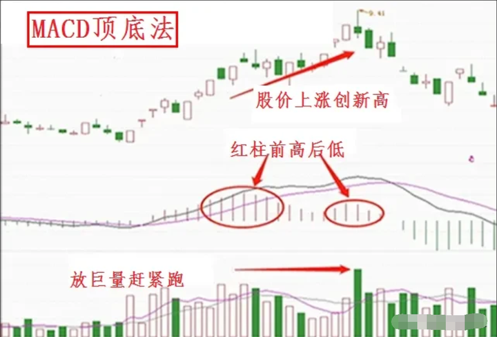 中国股市散户亏损的八大原因看完此文改掉后你炒股将轻而易举