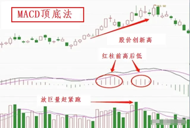中国股市散户亏损的八大原因看完此文改掉后你炒股将轻而易举