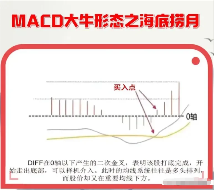 大部分散户都缺乏的专业素养学会后实现财务自由近在咫尺！