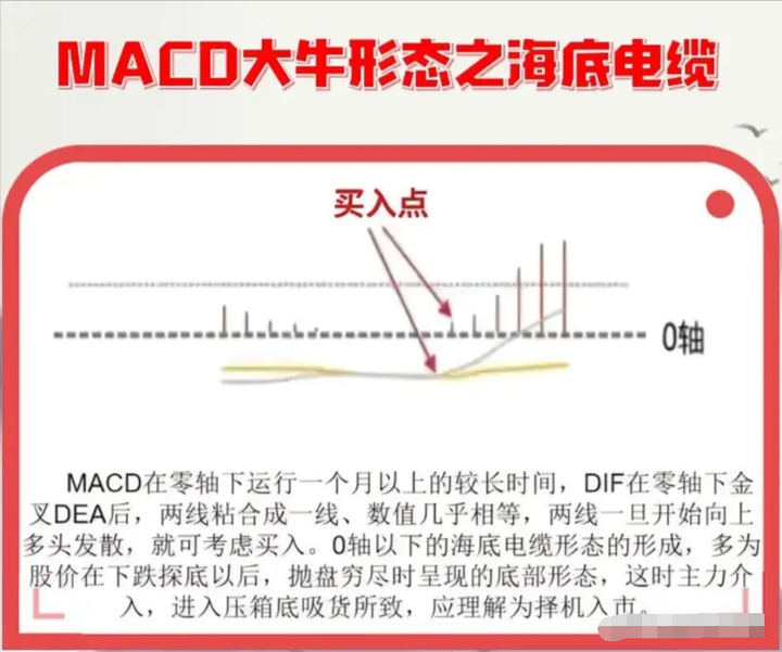 大部分散户都缺乏的专业素养学会后实现财务自由近在咫尺！