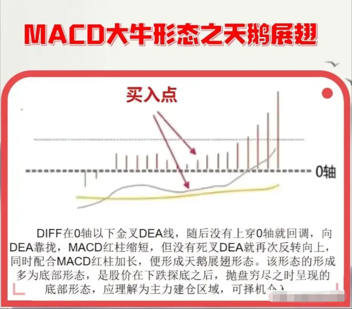 大部分散户都缺乏的专业素养学会后实现财务自由近在咫尺！