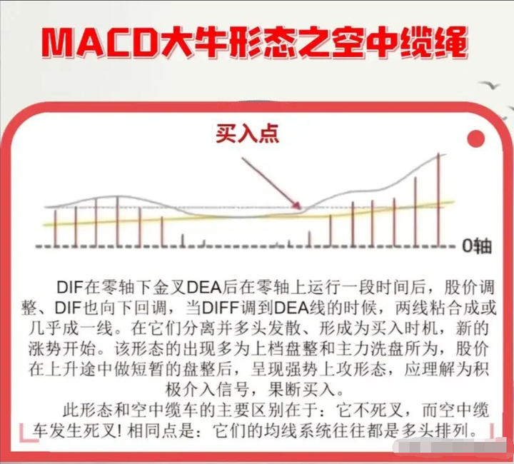 大部分散户都缺乏的专业素养学会后实现财务自由近在咫尺！