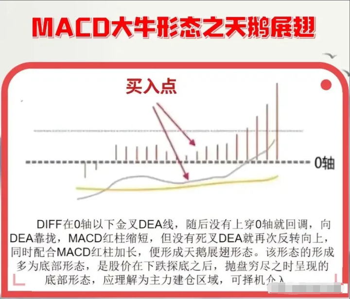大部分散户都缺乏的专业素养学会后实现财务自由近在咫尺！