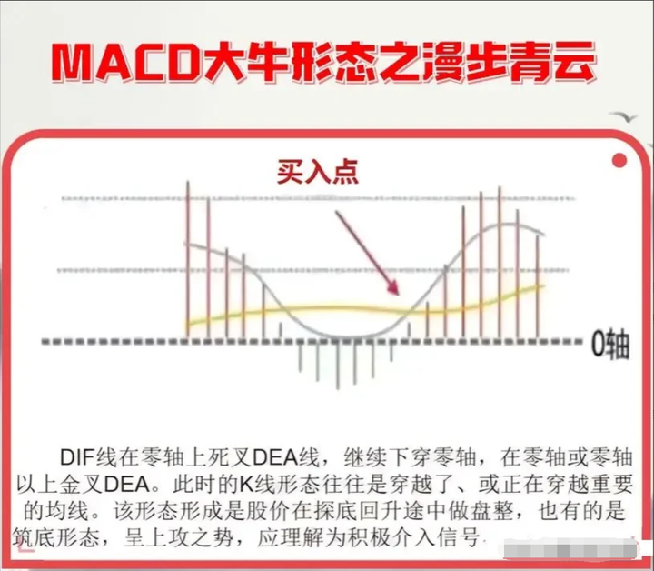 大部分散户都缺乏的专业素养学会后实现财务自由近在咫尺！