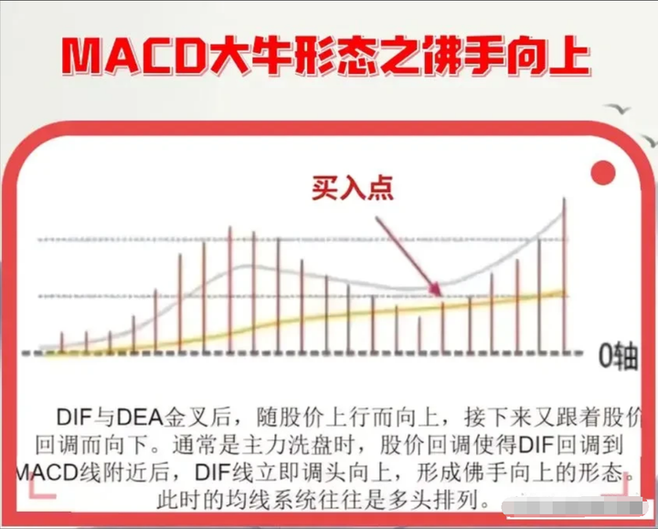 大部分散户都缺乏的专业素养学会后实现财务自由近在咫尺！