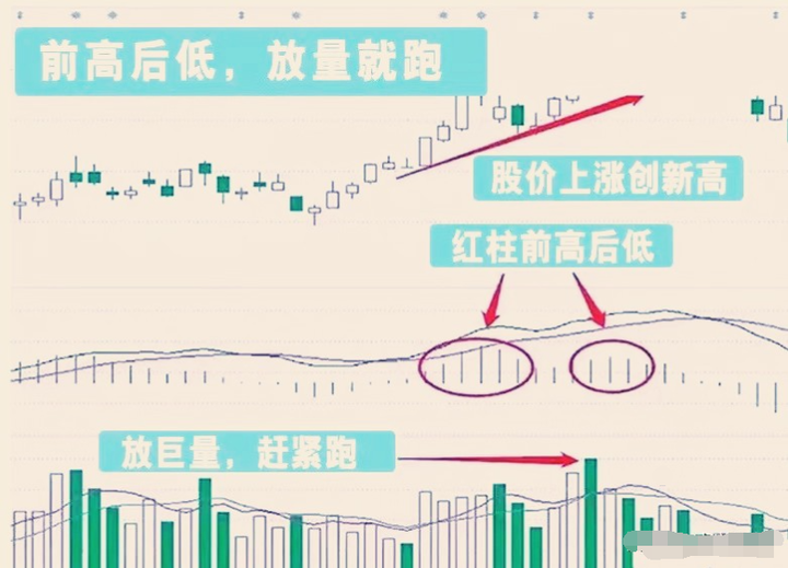 炒股悟道是什么感觉？十六年老股民直言做到这几点就能财富自由