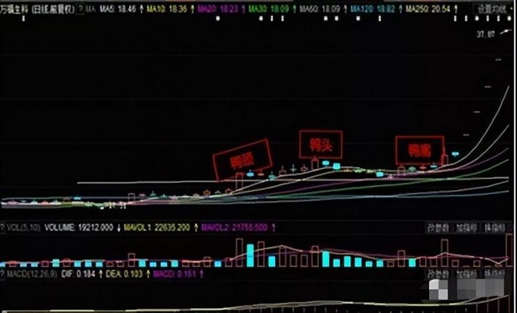 A股用最笨的方法把老鸭头战法学精了本金轻轻松松翻倍赚
