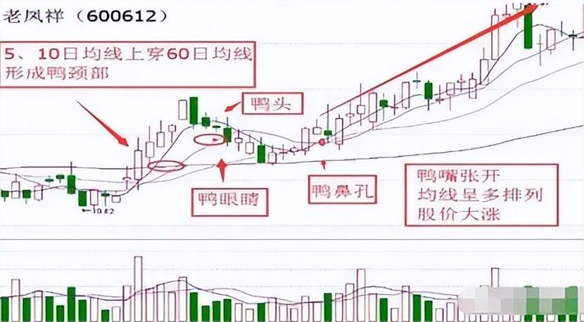 A股用最笨的方法把老鸭头战法学精了本金轻轻松松翻倍赚
