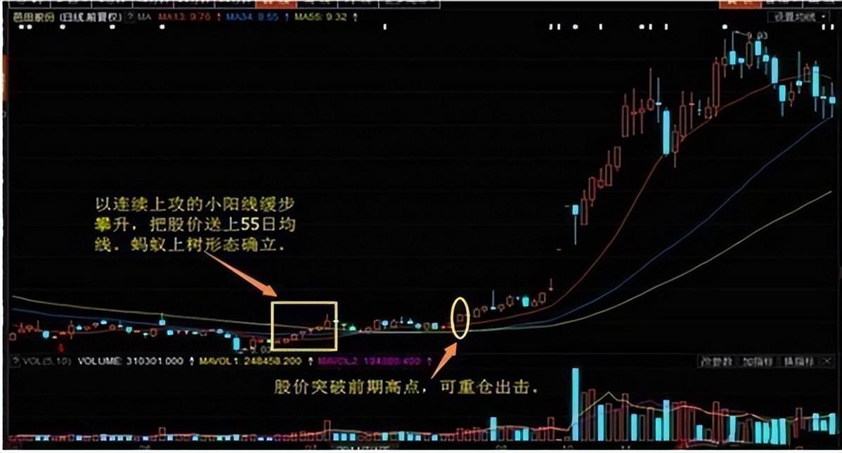 MACD指标运用与进阶战法,掌握紧抓黑马股起爆点,从贫穷到财富自由