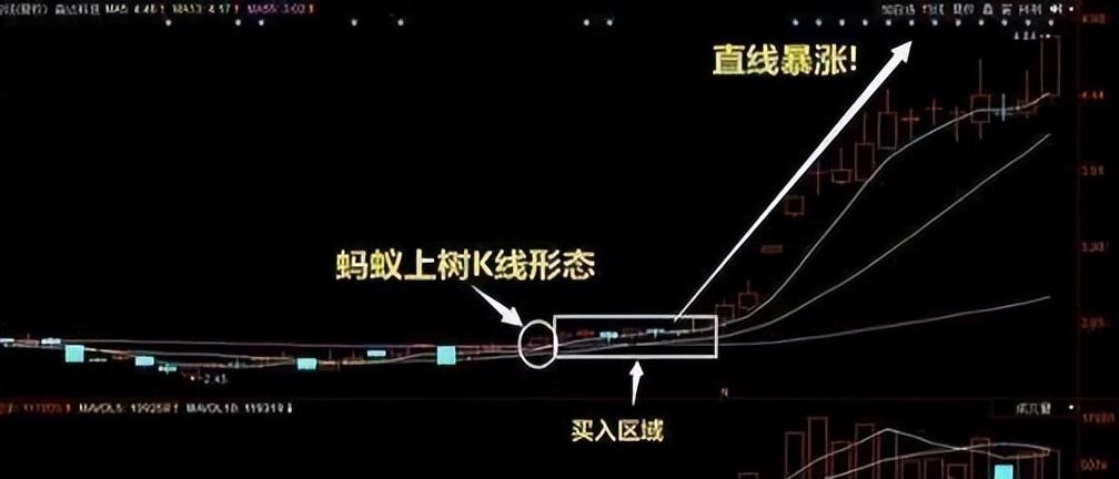 MACD指标运用与进阶战法,掌握紧抓黑马股起爆点,从贫穷到财富自由