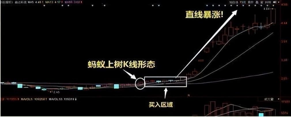 MACD指标运用与进阶战法,掌握紧抓黑马股起爆点,从贫穷到财富自由