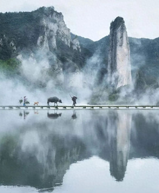 中国股市真正能发大财的只有一种人最简单的方式去炒股最赚钱