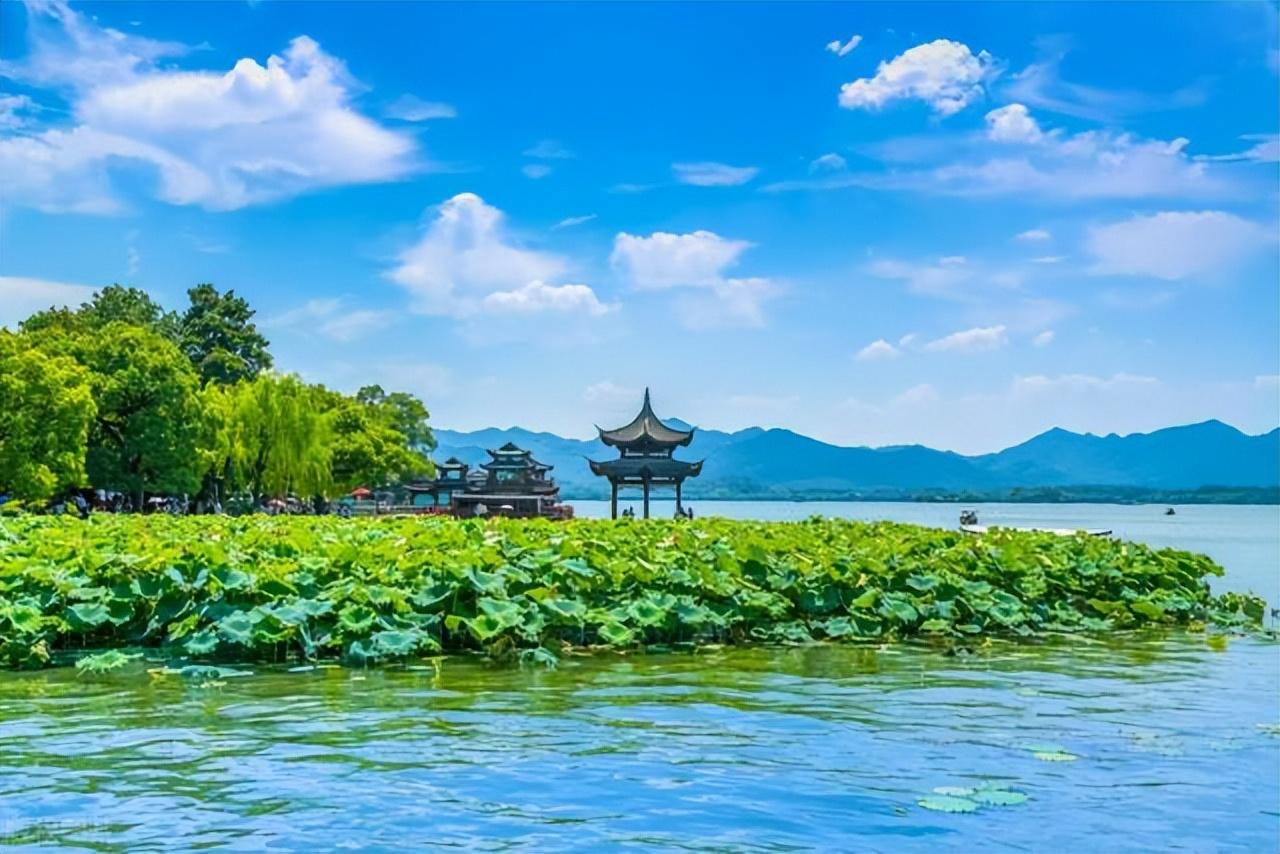 老股民倾情分享涨停回调买入法一旦掌握精准买在起涨点