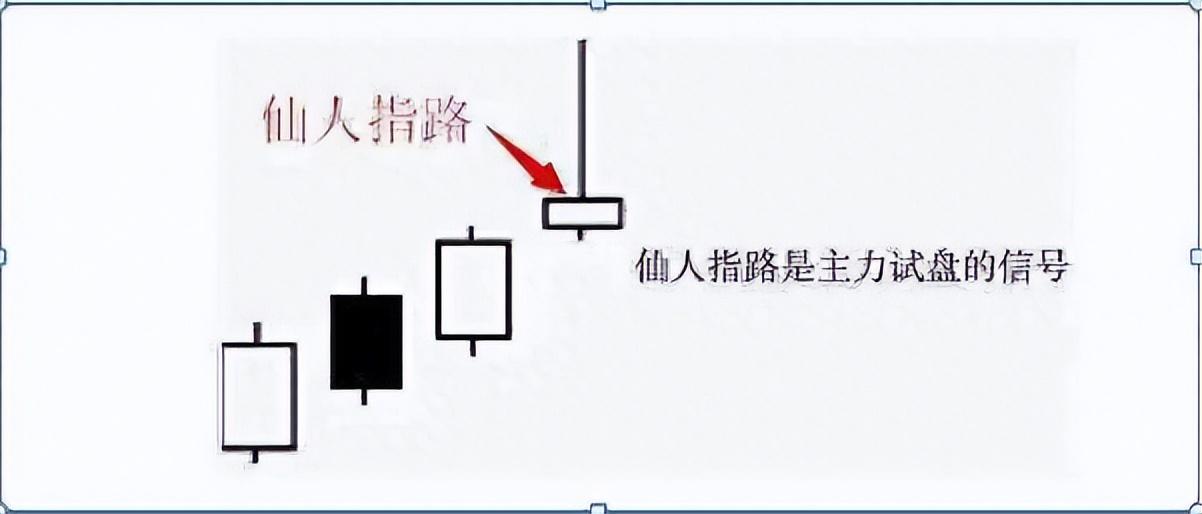 一位股坛奇才20年坚持仙人指路战法轻松捕抓涨停大牛股！