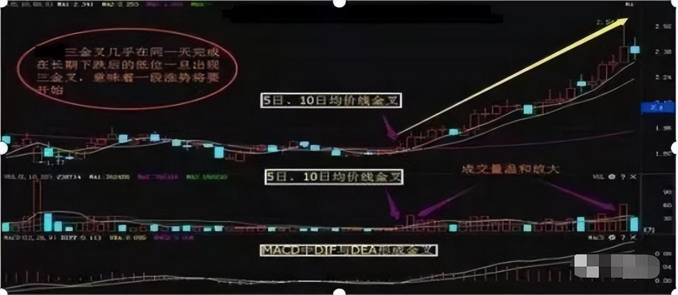 一位退役操盘手10年心得炒股不懂量价关系真的很难赚不到钱！