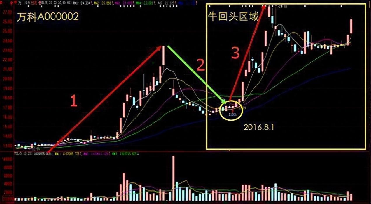真正炒股厉害的人一辈子死扛一只股票从穷人到富人的全过程