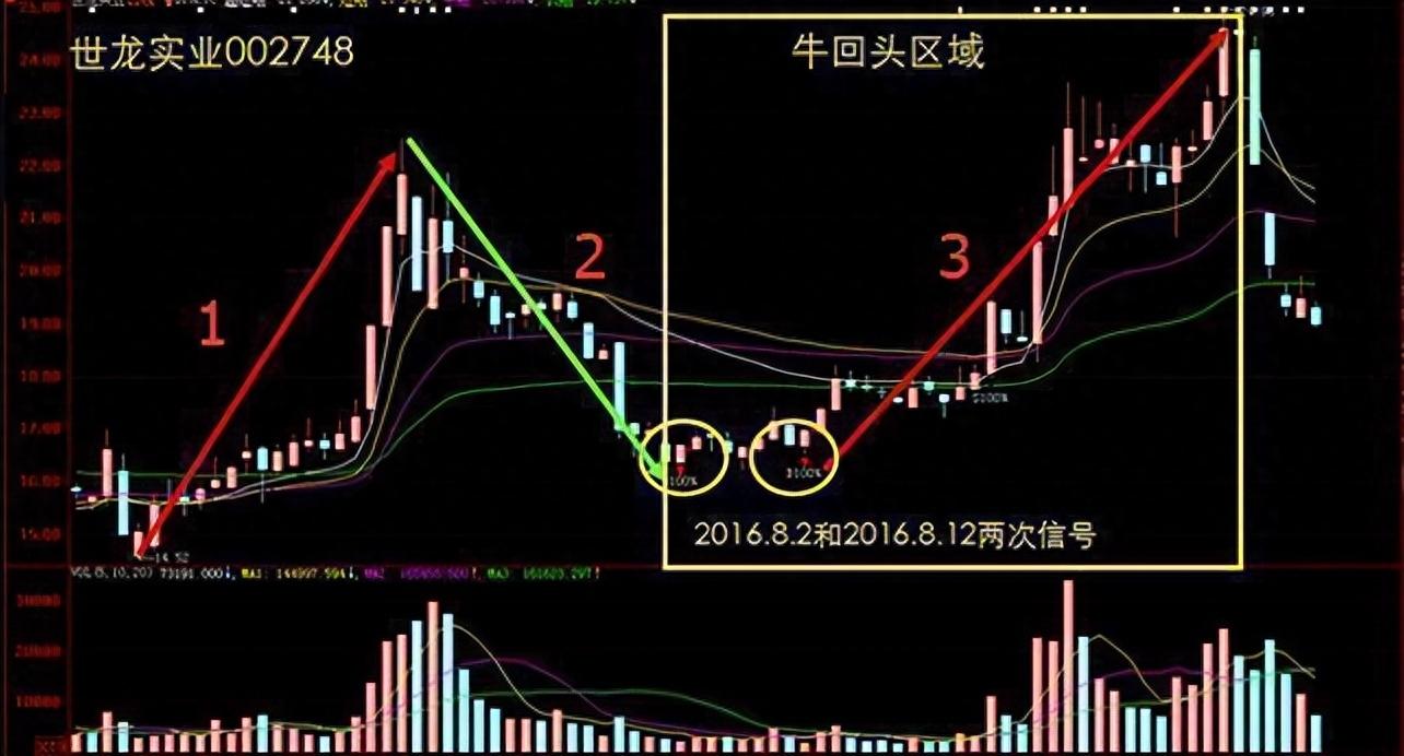 真正炒股厉害的人一辈子死扛一只股票从穷人到富人的全过程