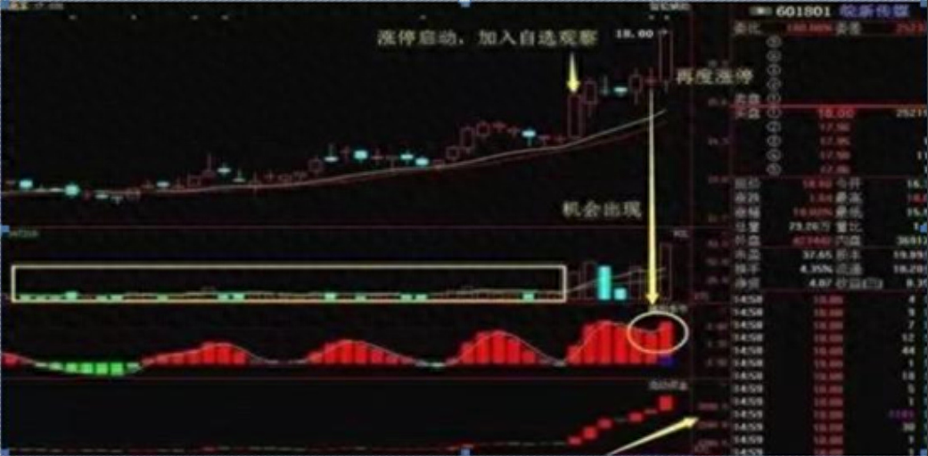 真正炒股厉害的人一辈子死扛一只股票从穷人到富人的全过程