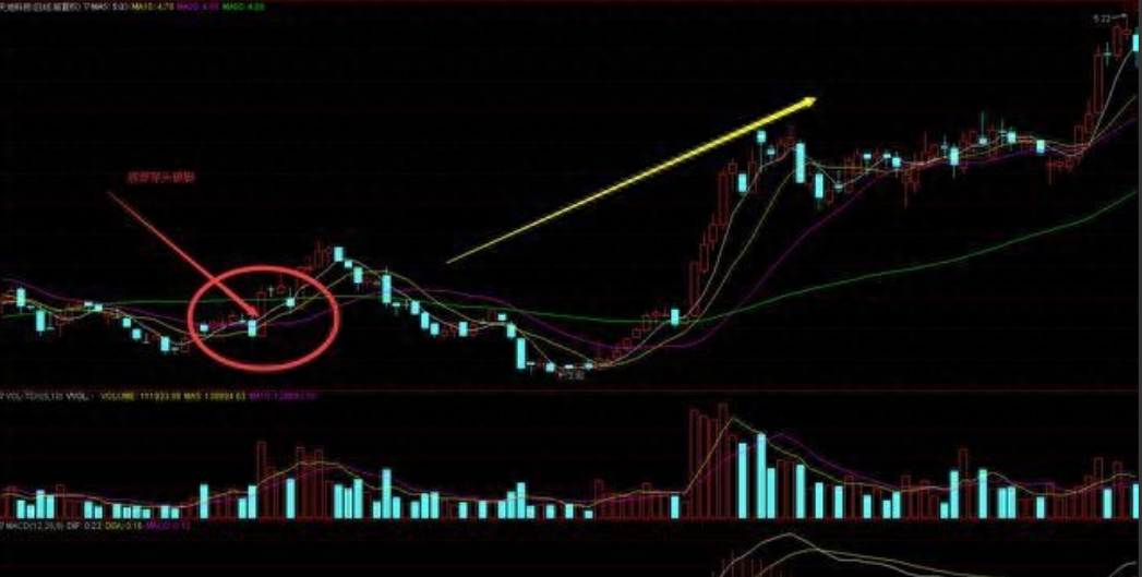 献给所有在中国股市沉浮的散户无论你信不信这就是中国股市！