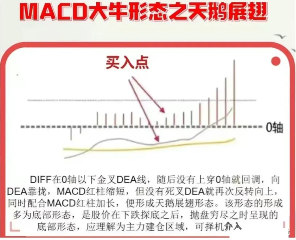 中国股市独一无二的MACD战法庄家都忌惮三分！值得每晚阅读！