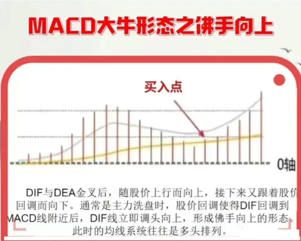 中国股市独一无二的MACD战法庄家都忌惮三分！值得每晚阅读！