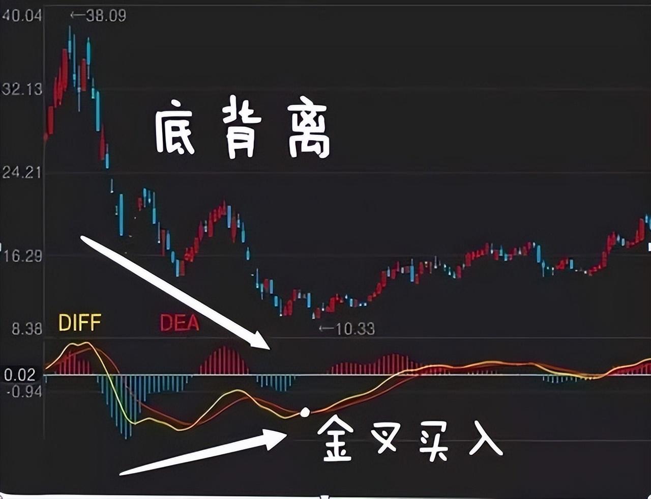 中国股市真正的炒股高手是什么样？他们是怎么实现财富自由的？