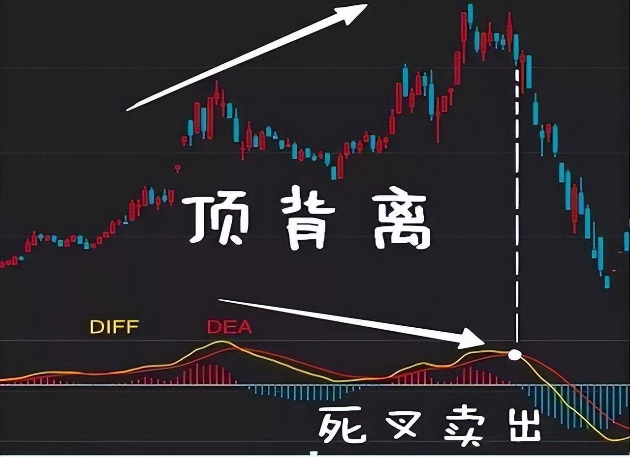 中国股市真正的炒股高手是什么样？他们是怎么实现财富自由的？