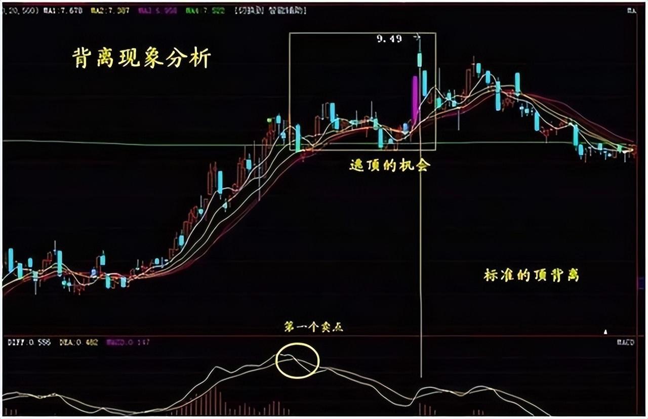 中国股市真正的炒股高手是什么样？他们是怎么实现财富自由的？