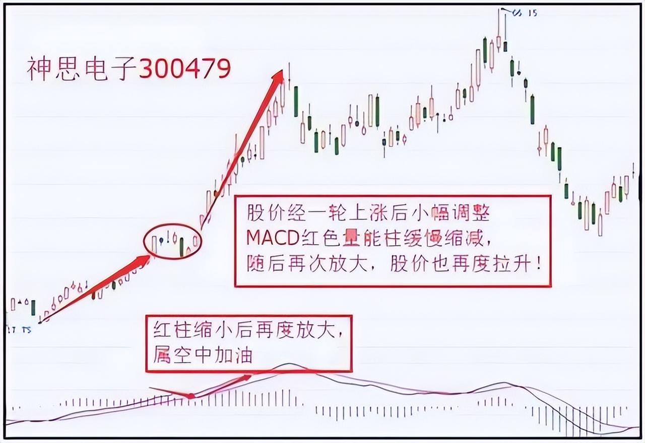 中国股市真正的炒股高手是什么样？他们是怎么实现财富自由的？