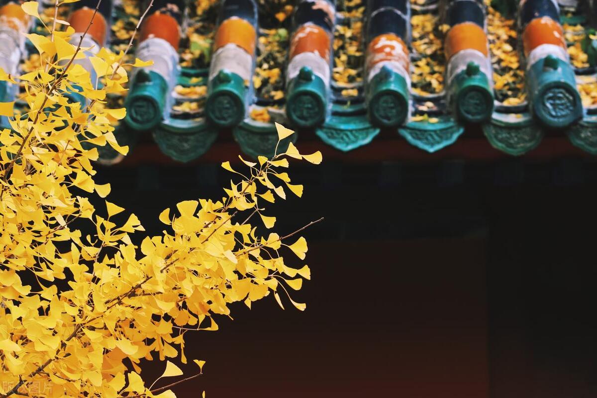 A股都是乌合之众只要把自己的情绪控制了这个市场就是提款机