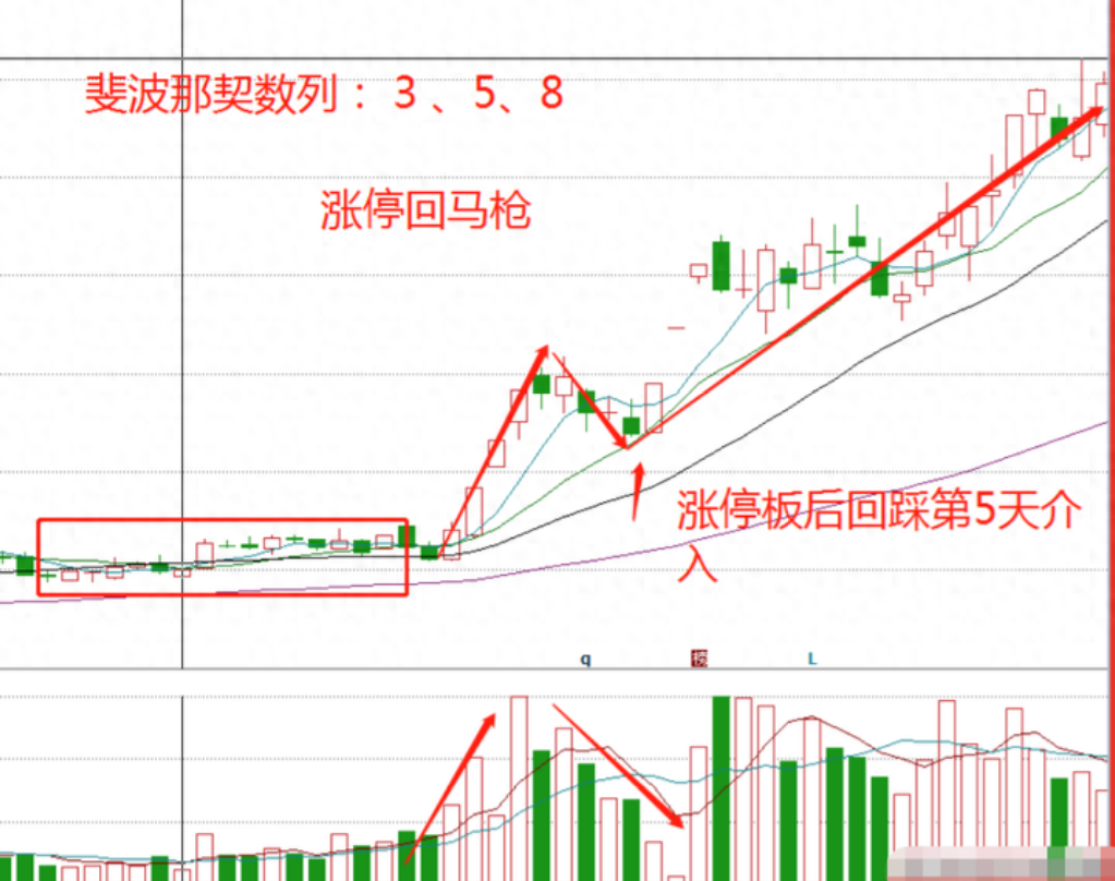 中国股市顶级牛散爆料史上最全面的短线交易技法只教一遍！