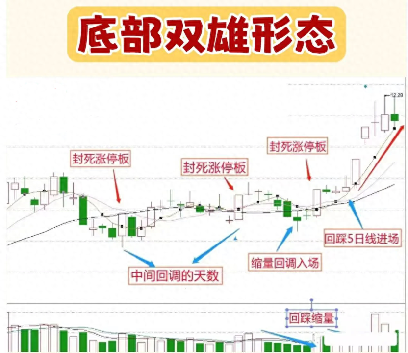写给在市场亏损的股民此文必能给予你帮助文章很短认真看完