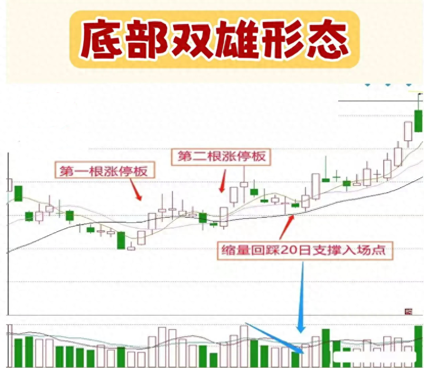 写给在市场亏损的股民此文必能给予你帮助文章很短认真看完