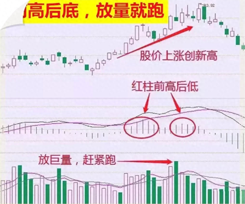 写给在市场亏损的股民此文必能给予你帮助文章很短认真看完