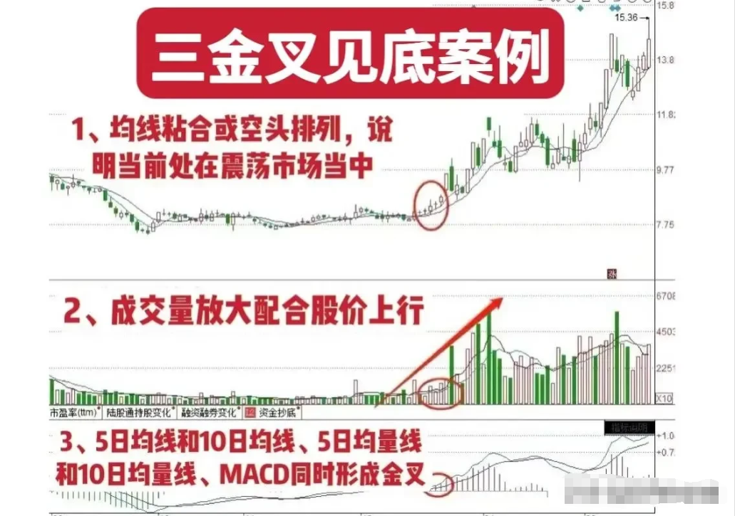 中国真正能发大财的只有一种人用最简单的方式去炒股其实最赚钱