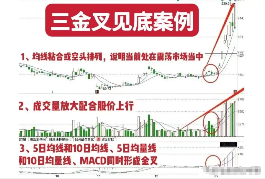 中国真正能发大财的只有一种人用最简单的方式去炒股其实最赚钱