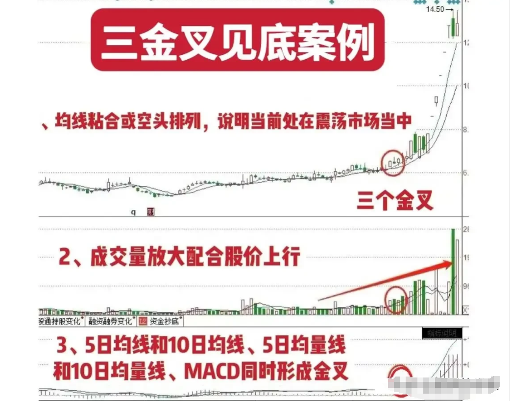 中国真正能发大财的只有一种人用最简单的方式去炒股其实最赚钱