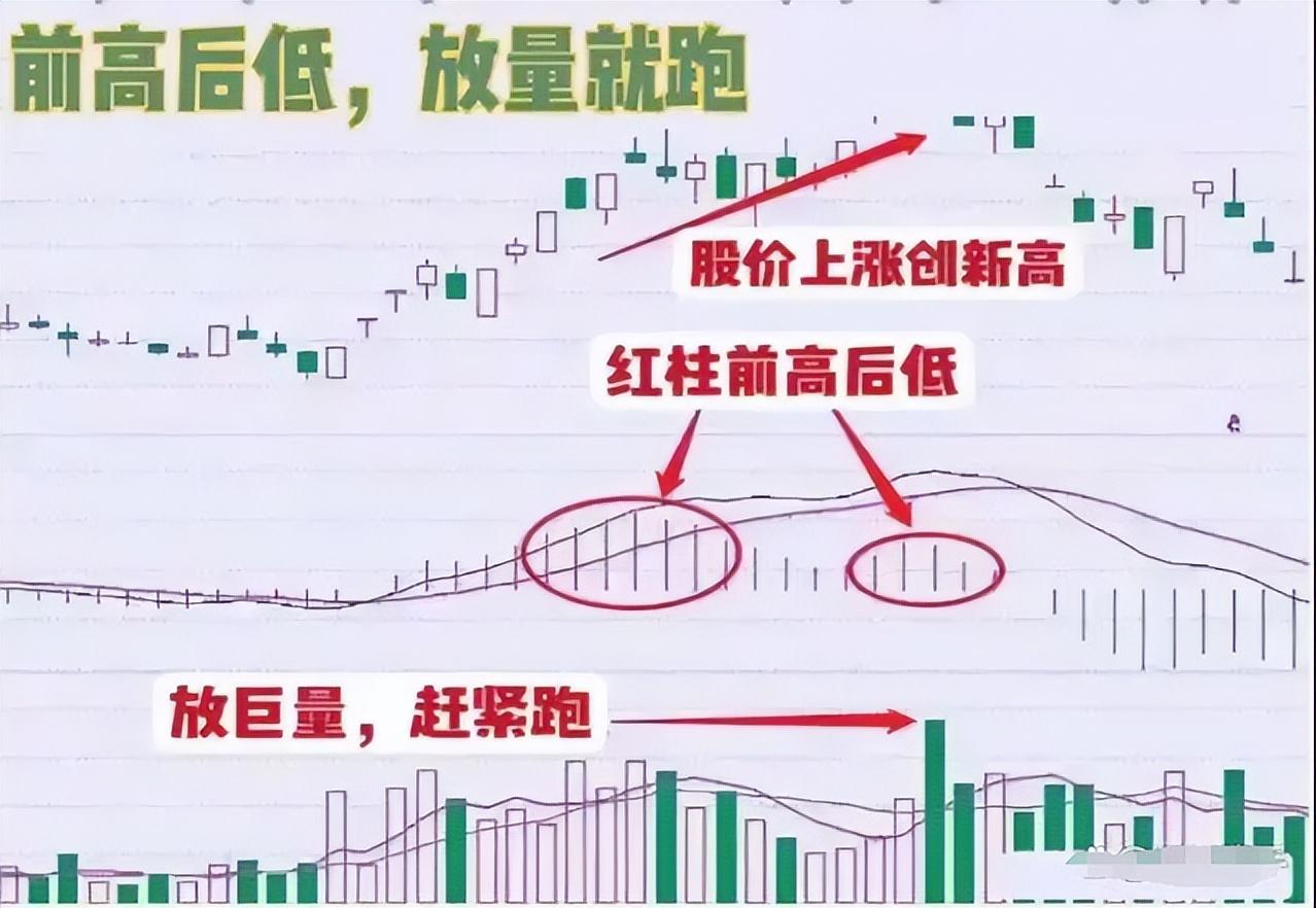 中国股市以炒股为生的人到底是什么样的？文章很短意味很深